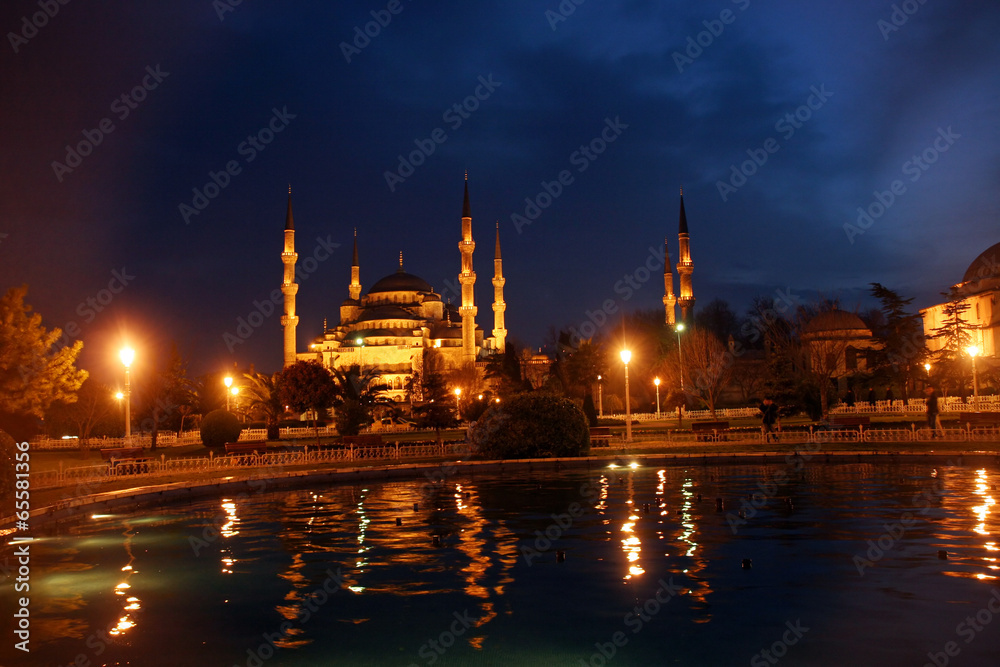 Blue mosque  in Istanbul, Turkey