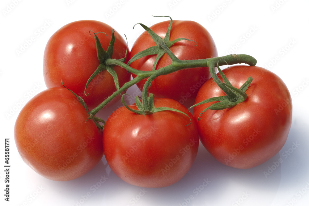 Rispen-Tomaten, Lycopersicon esculentum Rispen-Tomaten, Lycopersicon esculentum