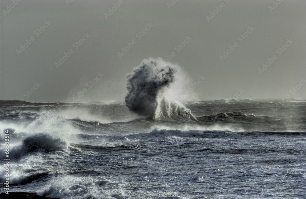 Tempete De Mer Vague Geante Stock Photo Adobe Stock