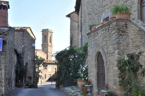 Fototapeta Naklejka Na Ścianę i Meble -  Toskana, Chianti-Gebiet, Volpaia