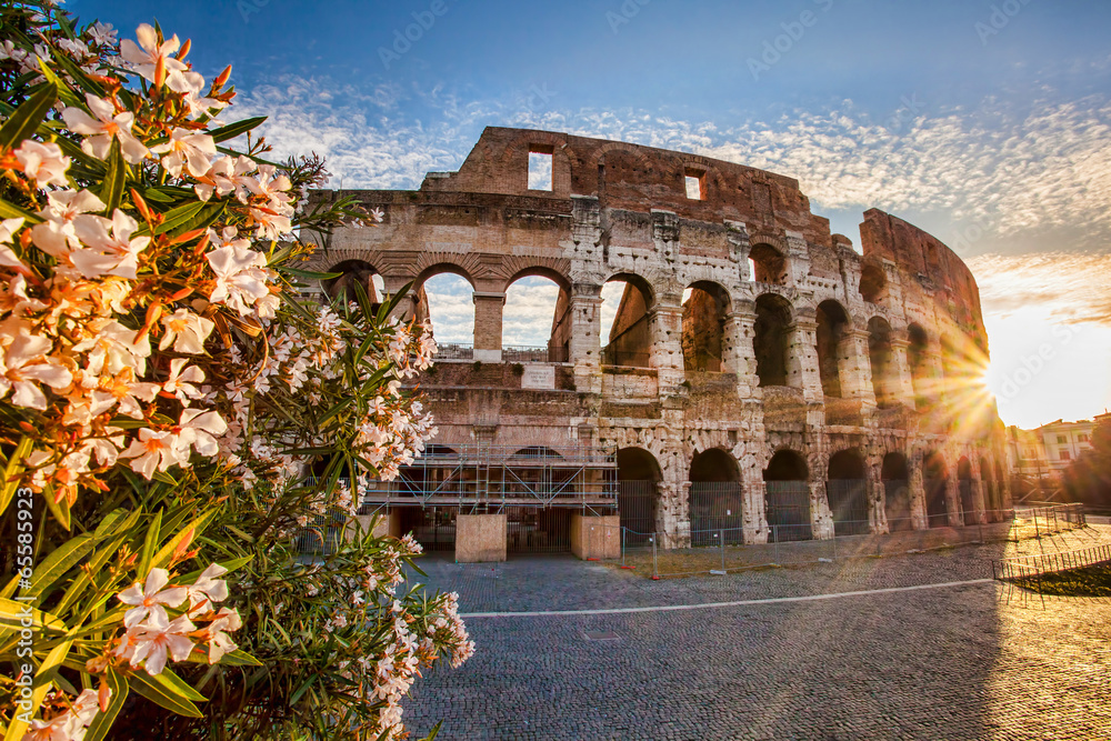 Obraz premium Colosseum during spring time in Rome, Italy
