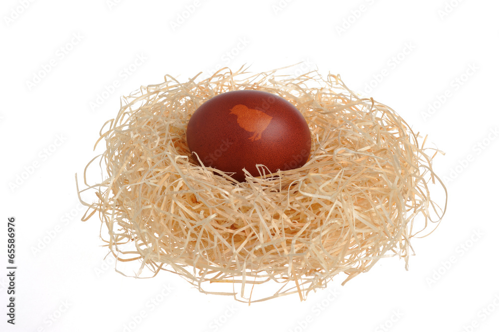 Easter decorated egg in nest isolated on white Easter decorated egg in nest isolated on white