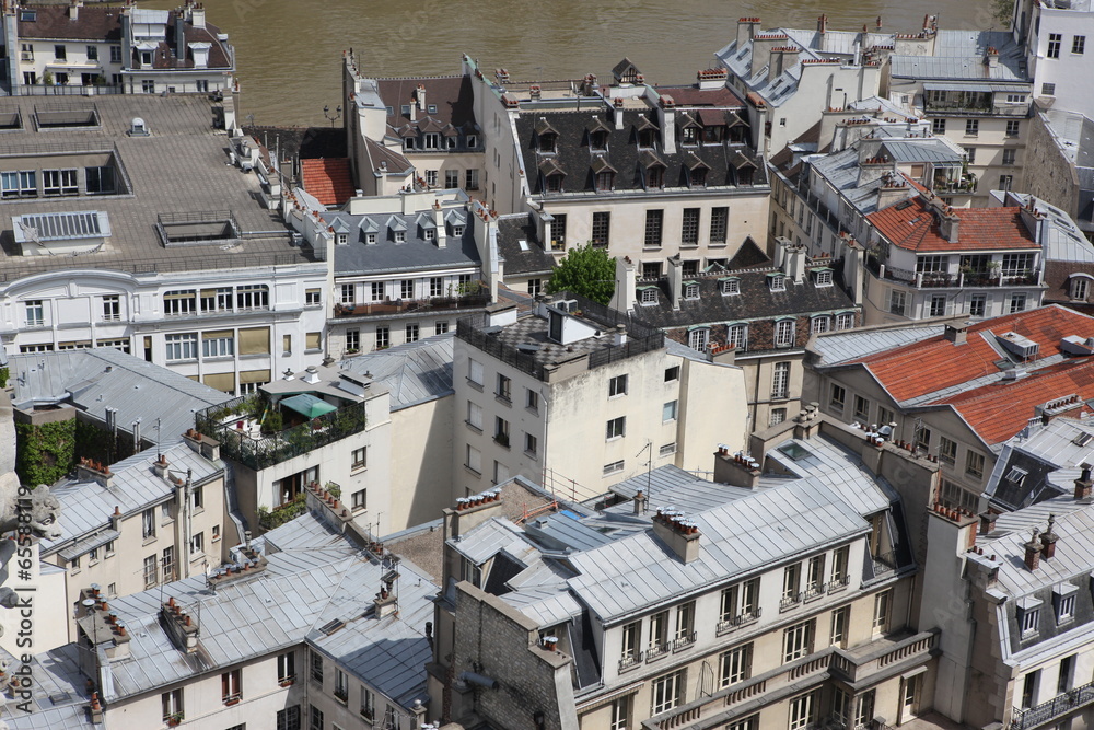 Fototapeta premium View on Paris form Notre Dame cathedral