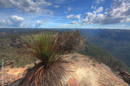 Buramoko Ridge Blue Mountains National Park Australia photo