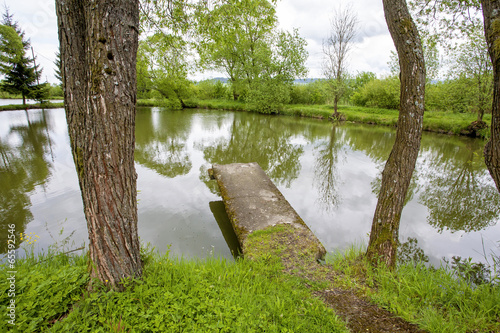 Nature ladscape with a pond photo