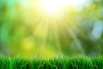 Green grass with sunset views.