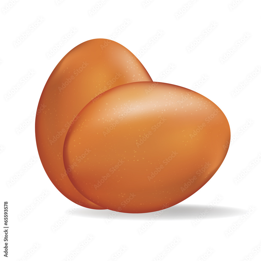 Realistic illustration of two eggs on white background Realistic illustration of two eggs on white background