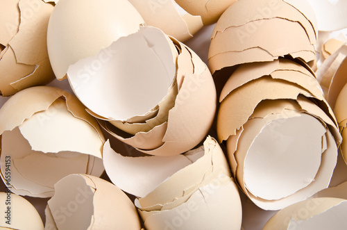 Obraz na płótnie egg shell w salonie