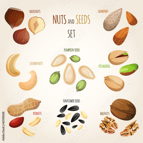 Nut mix set © Macrovector