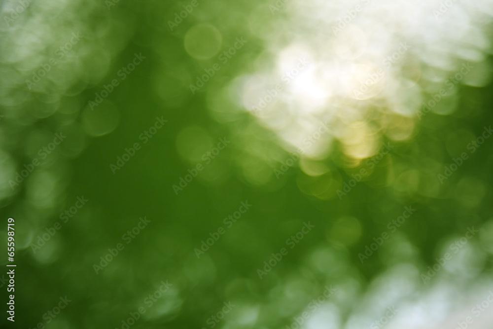 Obraz premium light green background from tree