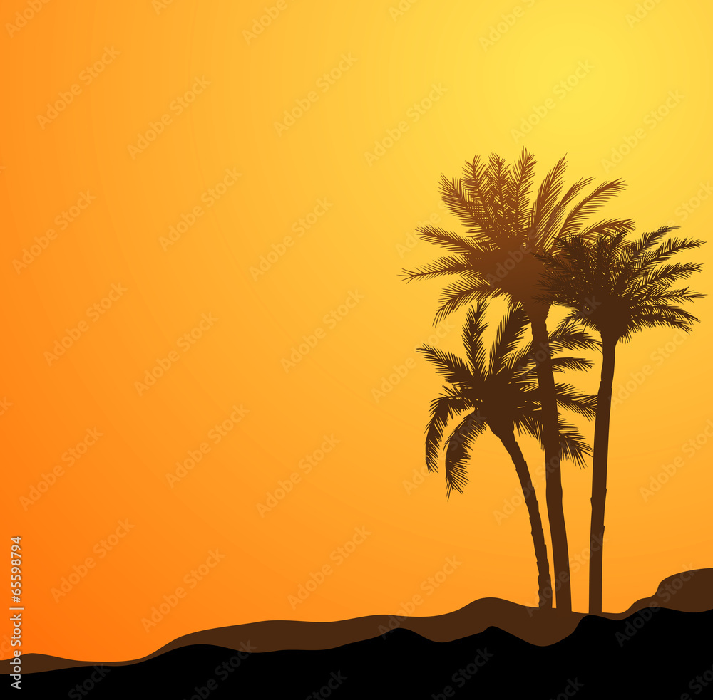 palm tree scenic
