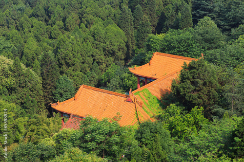 fule temple in the forest at mianyang,china photo