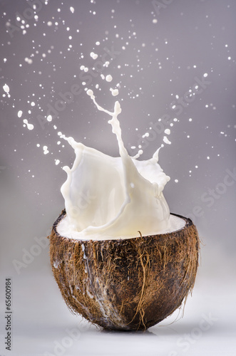 noce di cocco con latte splash