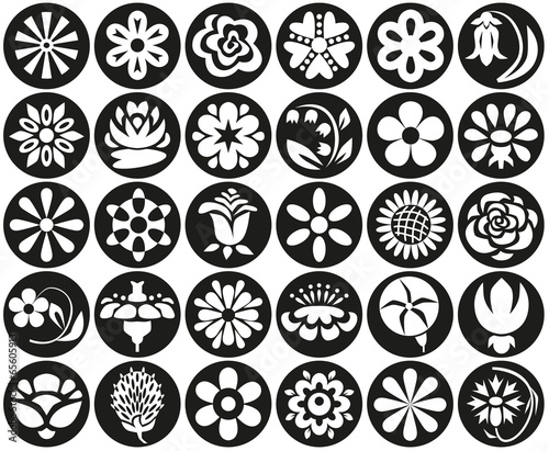 flowers will circle