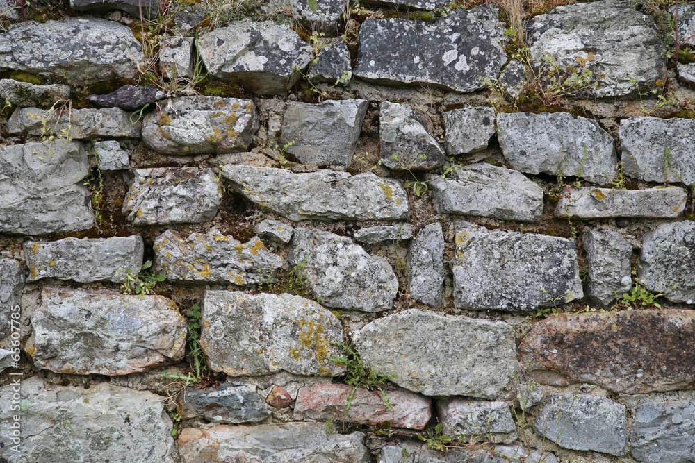 Fototapeta premium mauer