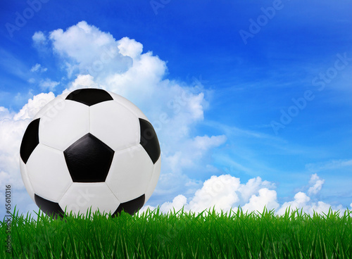 soccer football on  green grass sport stadium with copy space  u