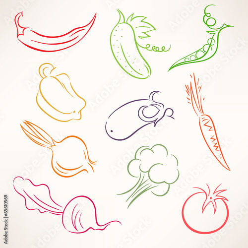 stylized outline vegetables