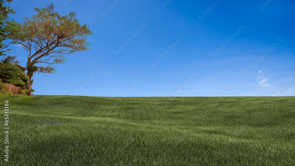 Obraz premium Field,tree and blue sky for adv or others purpose use