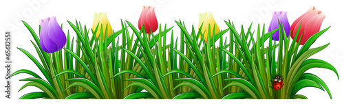 A garden with colorful flowers
