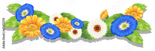 Flowering plant with colourful flowers