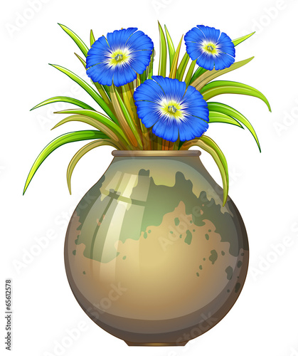 A pot with blue flowers