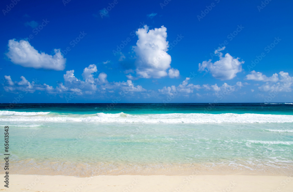tropical sea tropical sea