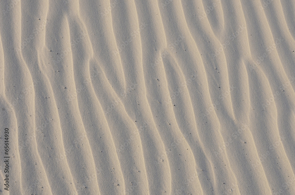 Obraz premium sand background