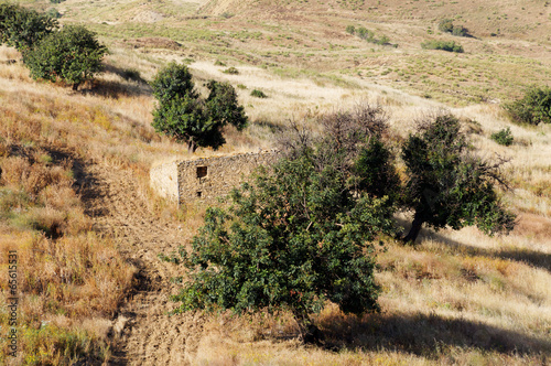 Paesaggio Niscemi photo