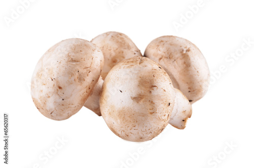 champignons on a white background