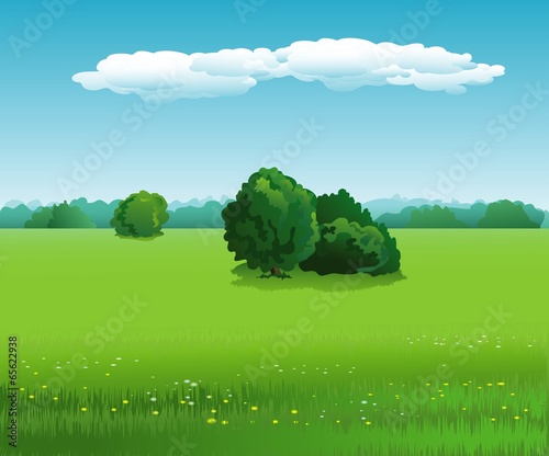 landscape
