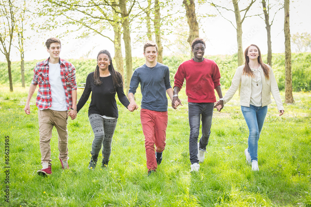 Multiethnic Group of Teenagers Walking at Park