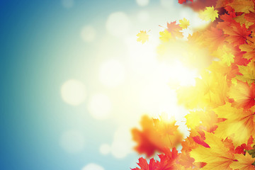 Autumn background