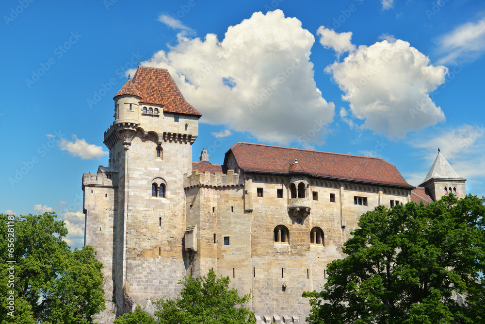Historic castle on blue sky background. Liechtenstein
