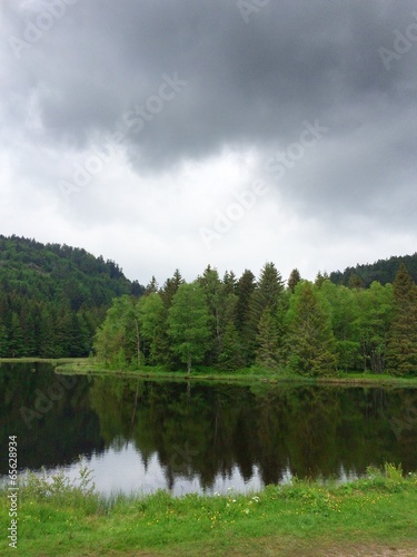 Spiegelung im Waldsee