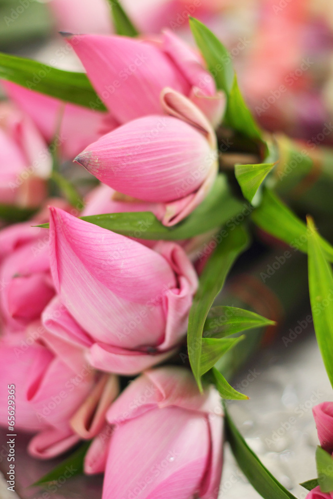 Lotus flower in the market Lotus flower in the market