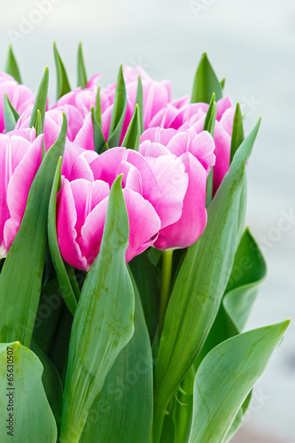 Pink tulips bouquet