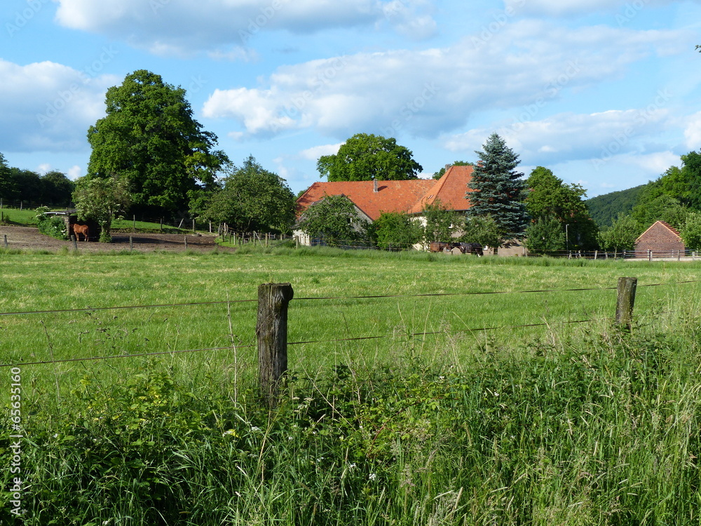 Grüne Weidelandschaft im Sommer auf dem Lande in Währentrup bei
