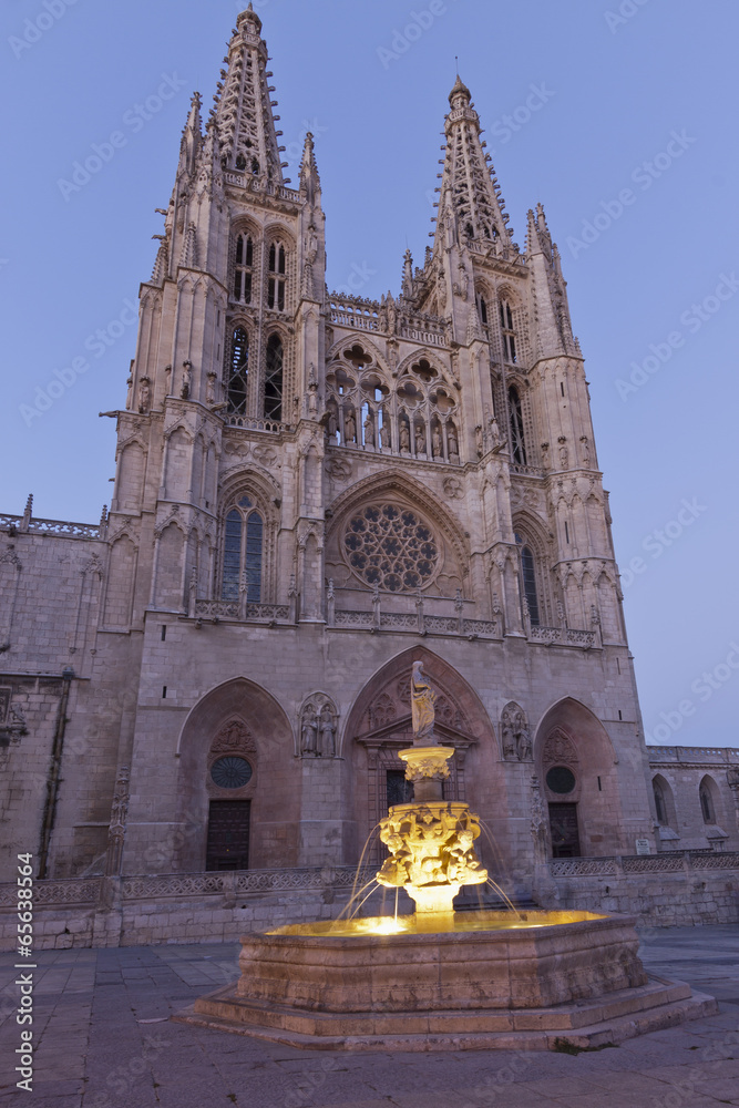 Burgos cathedral and old fountain.