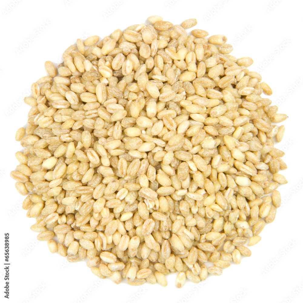Wheat Wheat