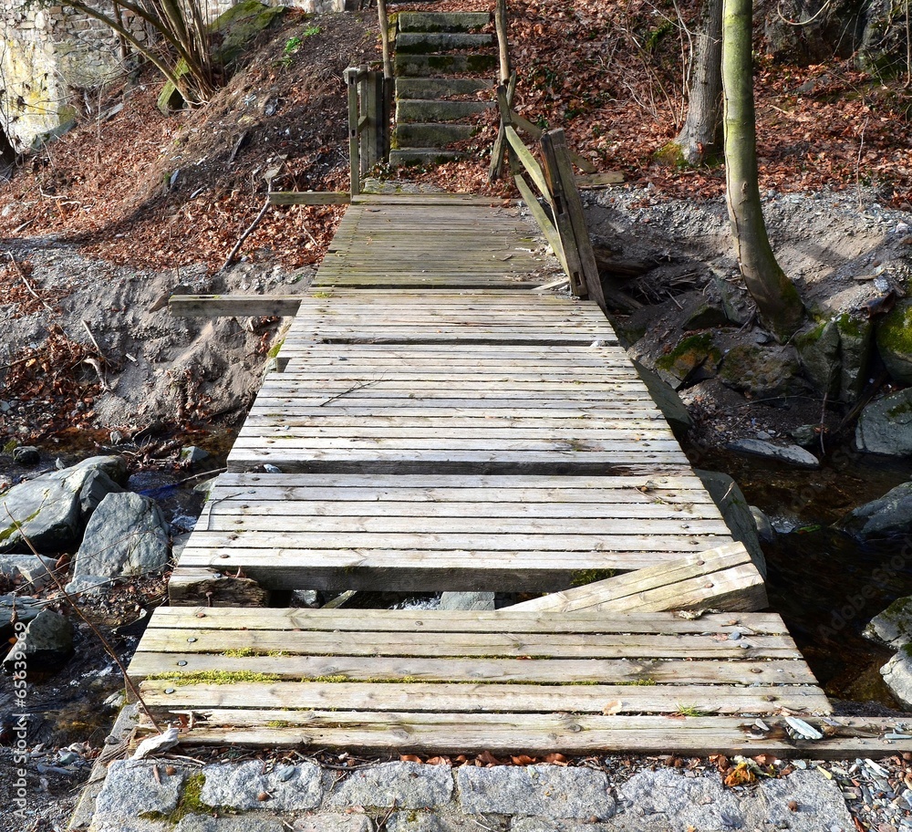Fototapeta premium Alte brüchige Waldbrücke