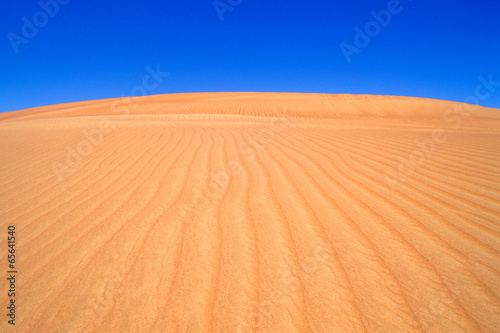 Emirats Arabes Unis - Sillons dans une dune du d  sert de l empt