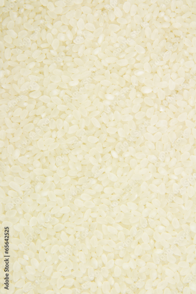 rice rice