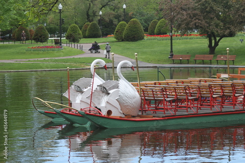 Boston Common Swan Boats