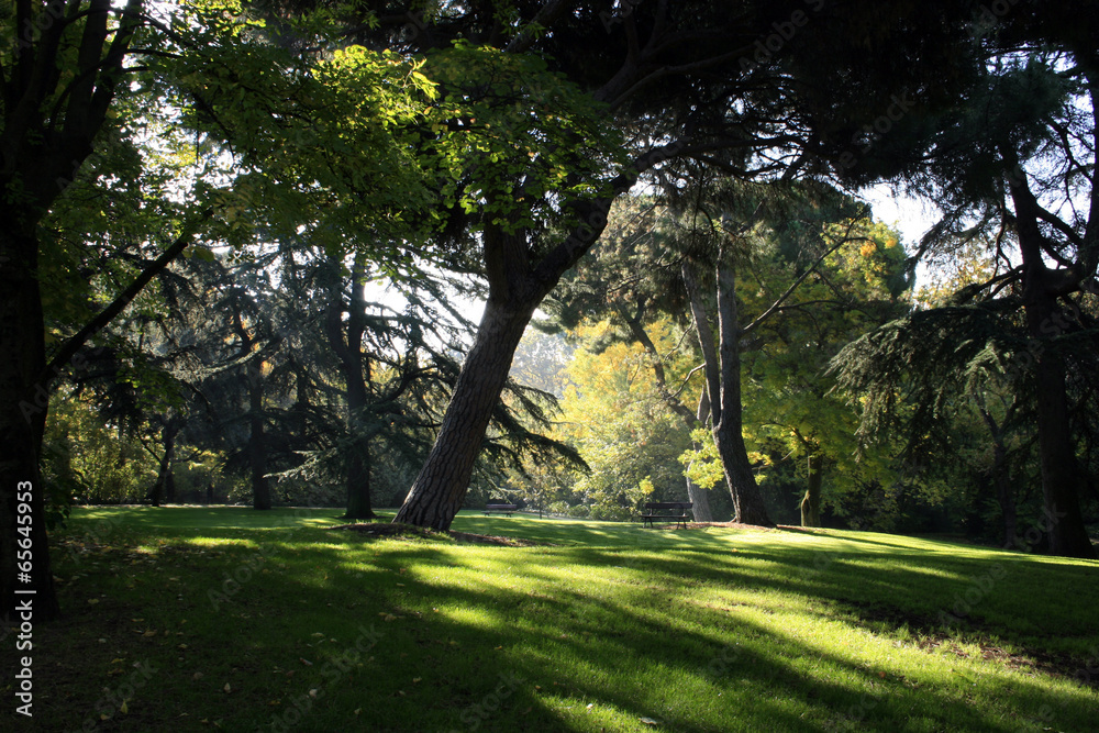 Naklejka premium Parque del Capricho