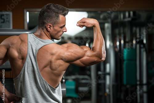 Perfect Biceps