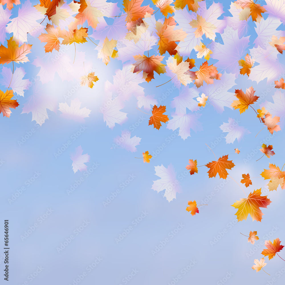 Autumn leaves with the blue sky. EPS 10 Autumn leaves with the blue sky. EPS 10