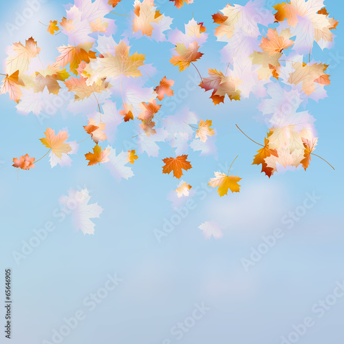 Fototapeta Naklejka Na Ścianę i Meble -  Autumn leaves on the sky. EPS 10