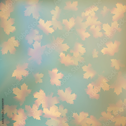 Grunge sky with autumn leaves. EPS 10