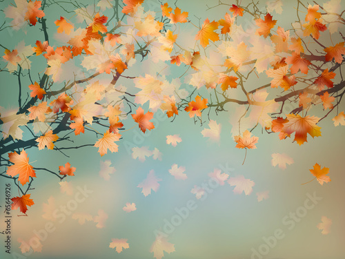 Abstract autumn yellow leaves background. EPS 10