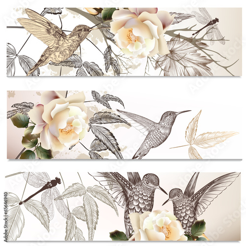 Vector set of floral backgrounds with humming  birds